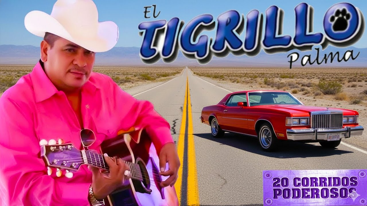 El Tigrillo Palma De Oro 💥 20 Exitos Puros Corridos Mix Para Pistear 2025