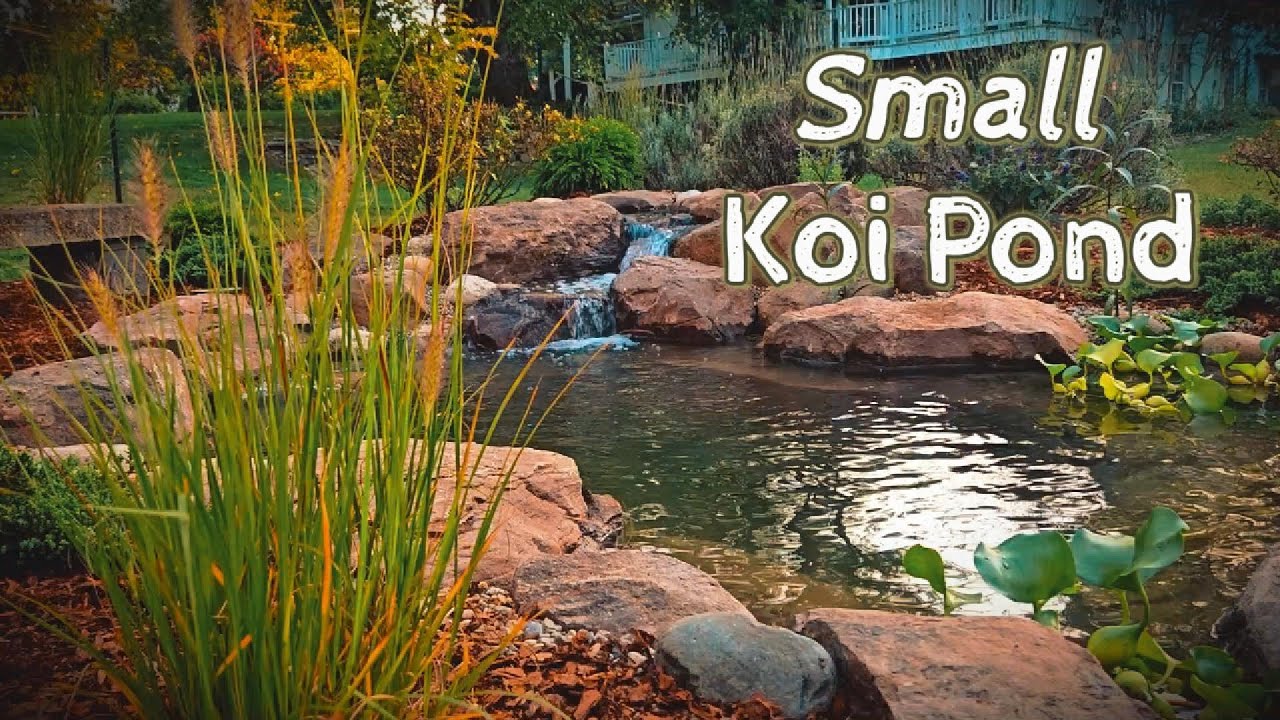 Transforming a Front Yard with a Small Pond!