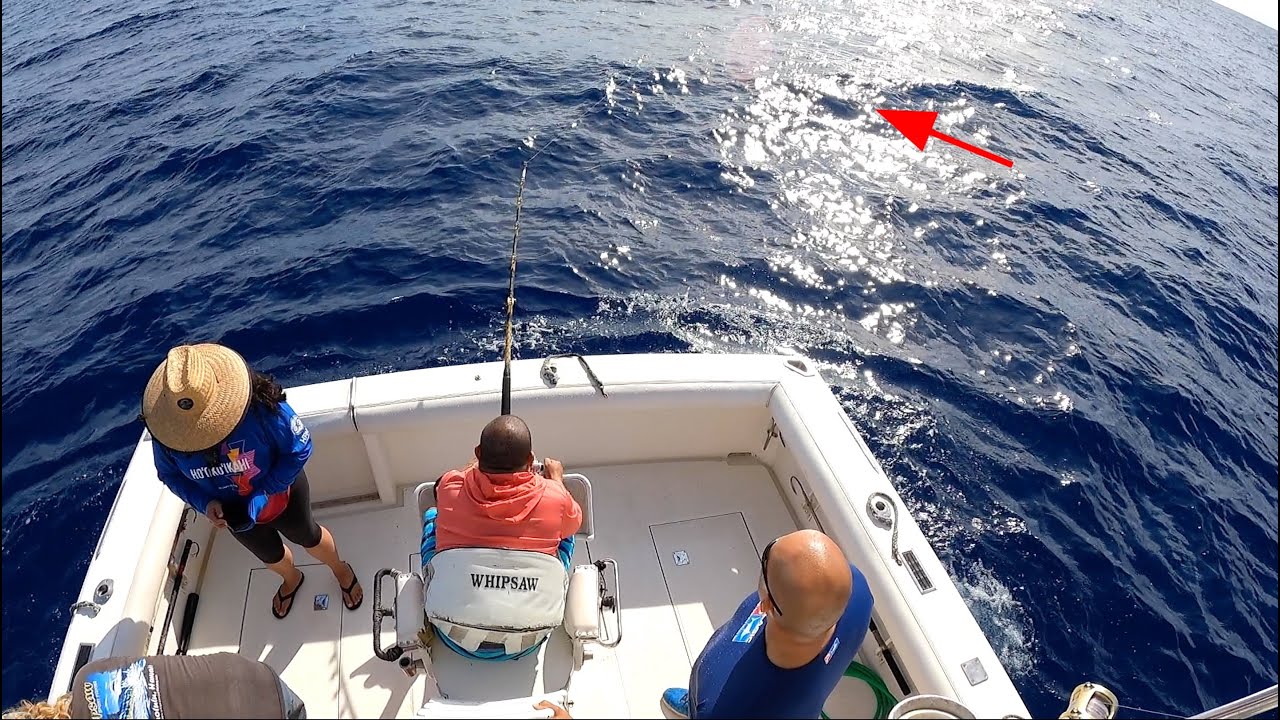 Fishing in Hawaii! | Blue Marlin Catch and Fillet