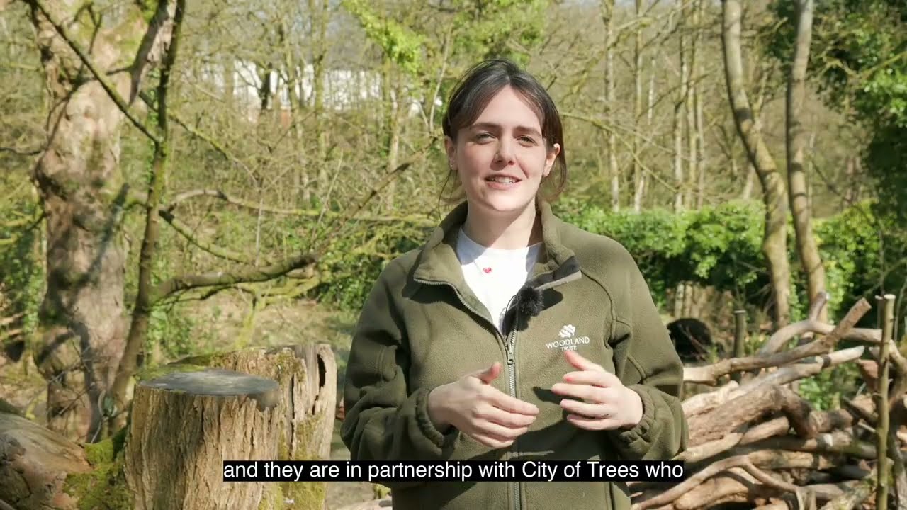 Прогулки для людей с деменцией в поместье Смитиллс в Болтоне с Woodland Trust и City of Trees
