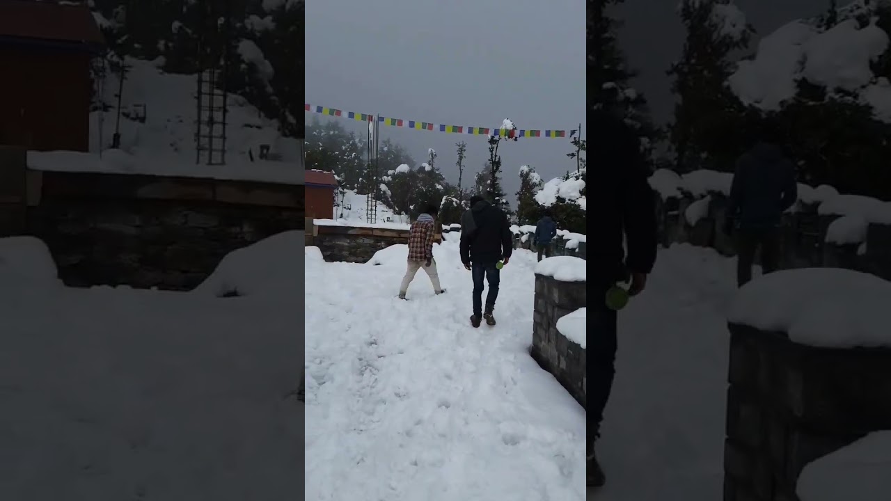 SNOWFALL ❄️🌨️#snow #shorts #millionviews