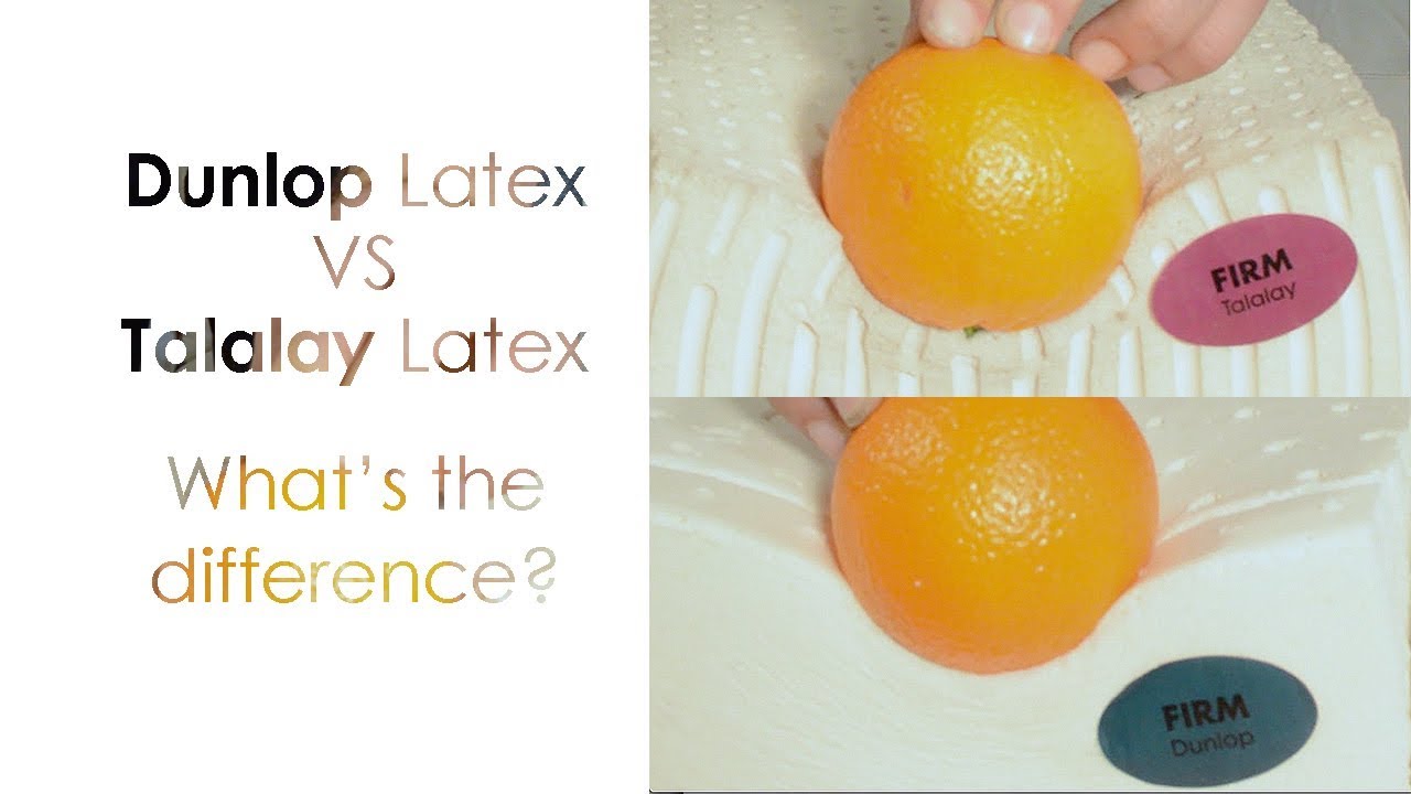 Dunlop Latex vs Talalay Latex: What's the Difference?