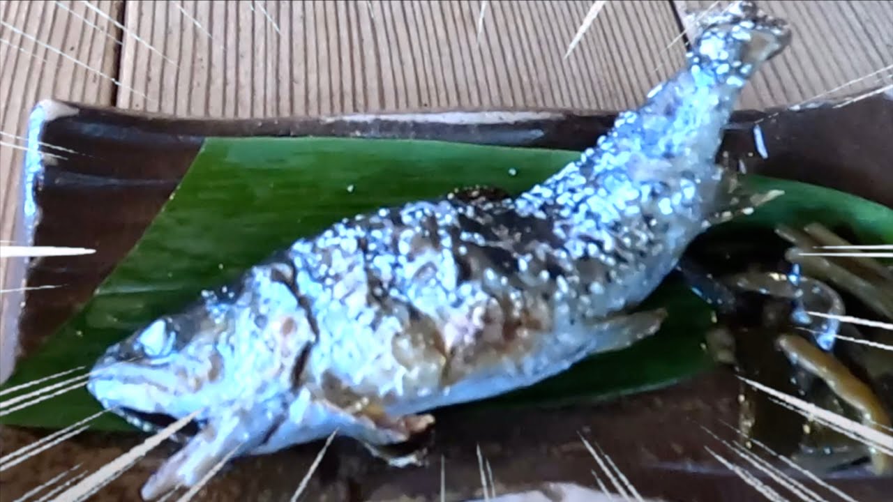 【山奥の雰囲気が良い隠れた名店】ヤマメ 松葉肉 蕎麦