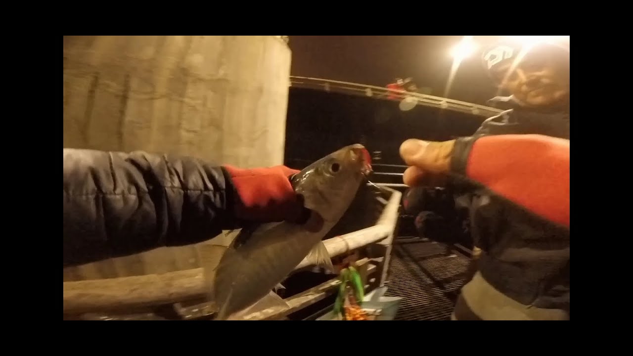 Pesca de Jureles Muelle Vergara 2022