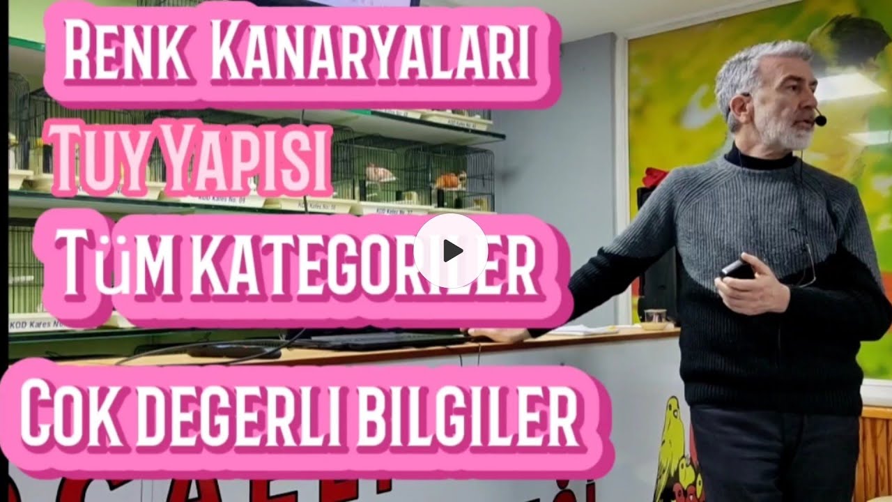 Renk Kanaryaları,Tüy yapıları,Eşlemeler, Çok Değerli Bilgiler