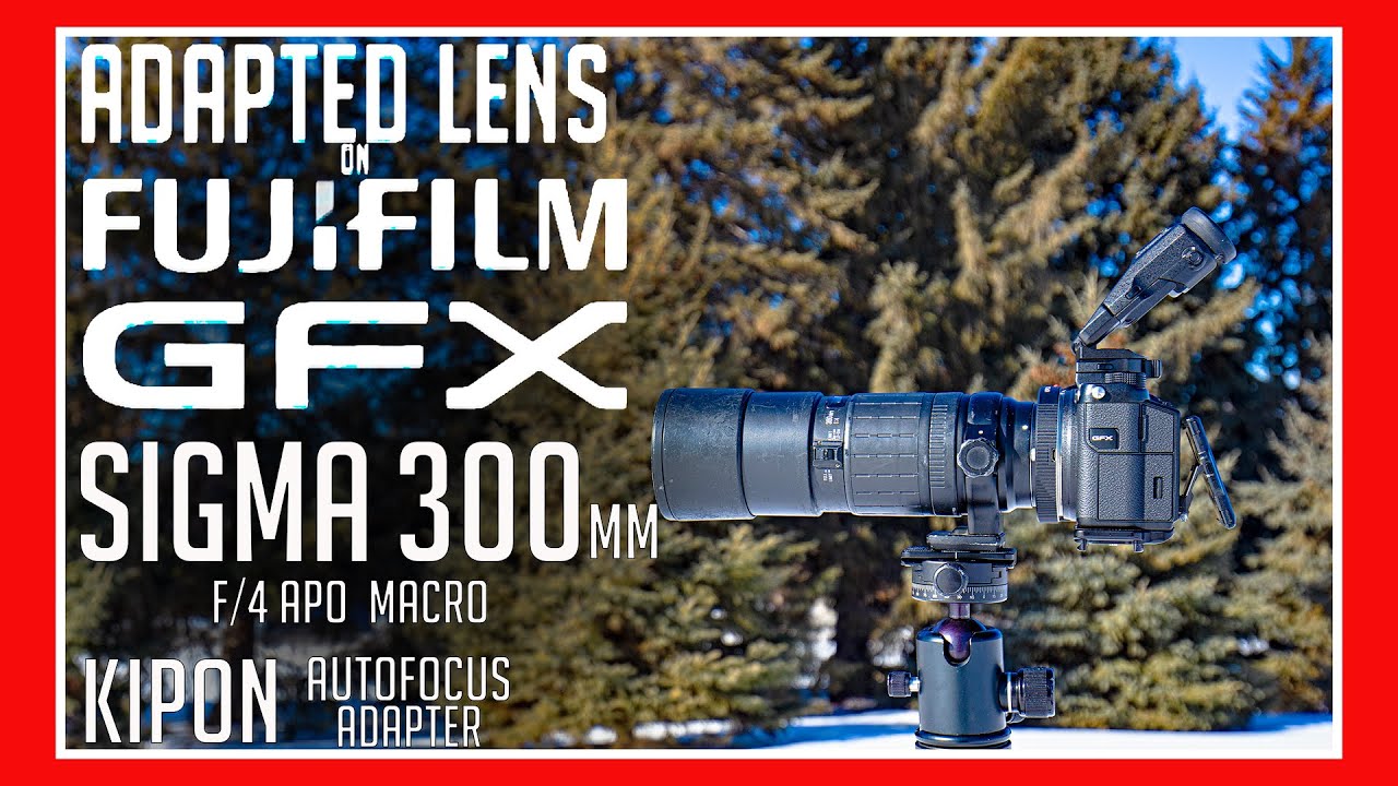 Adapted Lenses on the Fuji GFX - Sigma 300mm f/4 APO  Macro HSM