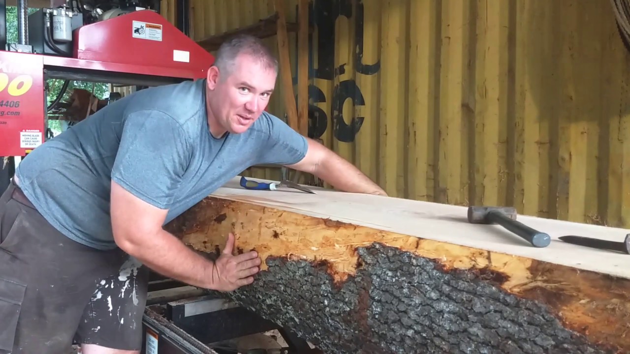 Part 2.5, the sneak peek of this massive Cherry Log!