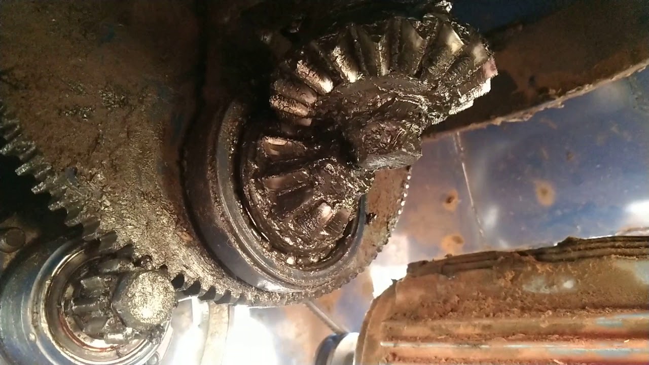 touro mecanico funcionando