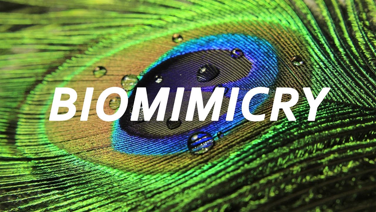 BIOMIMICRY : An Introduction with Janine Benyus