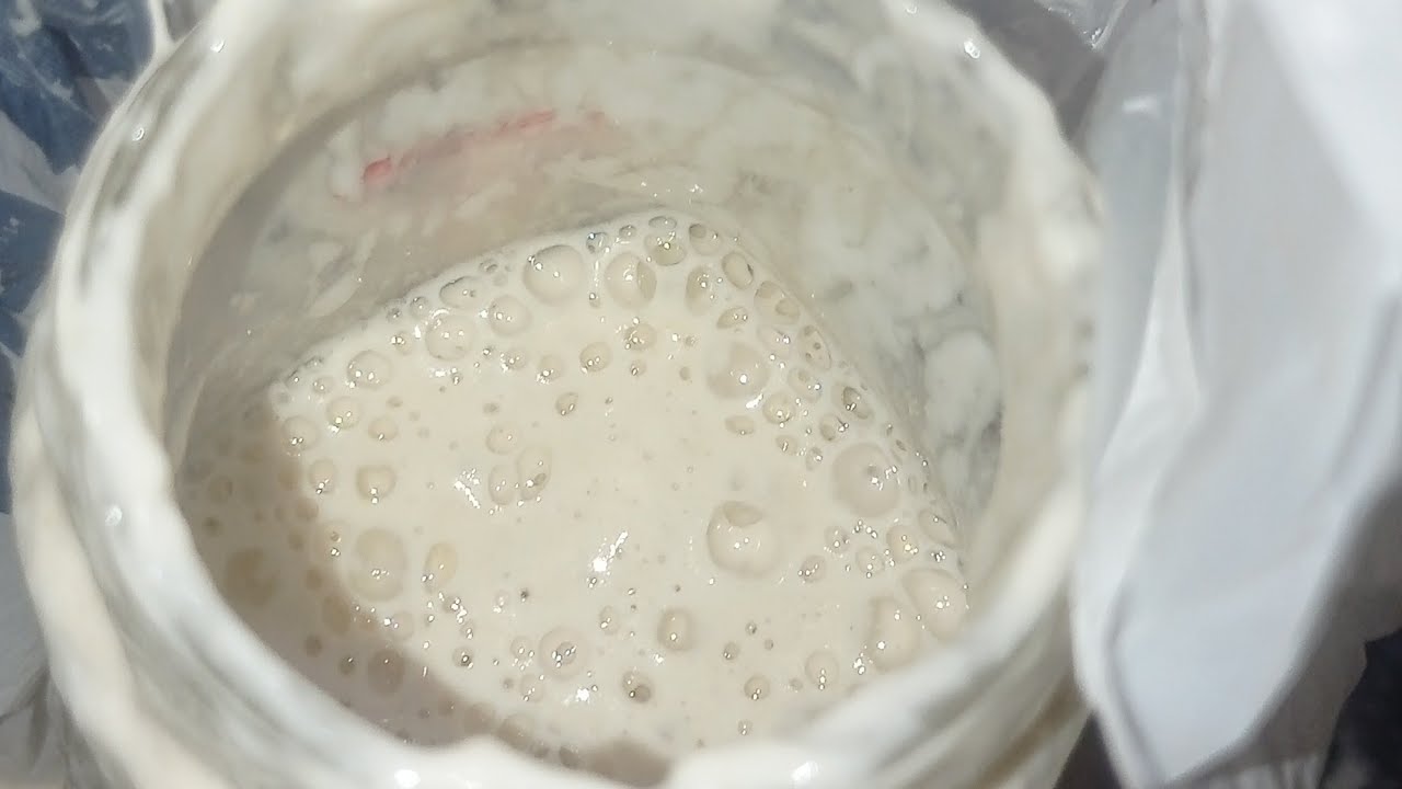 COMO TRANSFORMAR O FERMENTO DE LITRO EM LEVAN