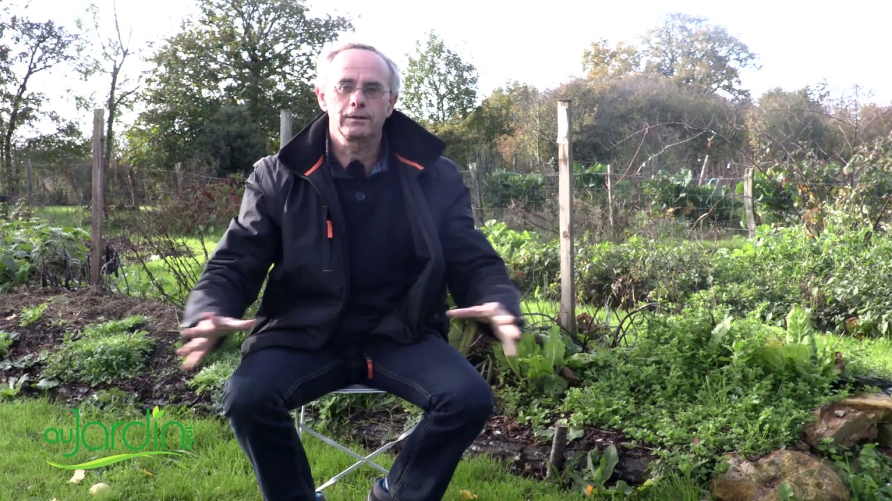 Que FAIRE ou NE PAS FAIRE au JARDIN en HIVER ?