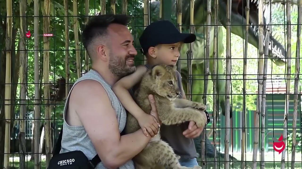 Berkem Aslan Diyarı'ndaki Altız Aslan ve İkiz Ayı Yavruları, Antalya'da  Maskot Oldu
