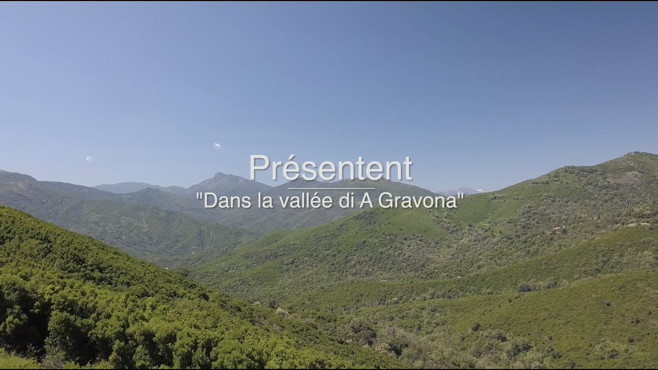 I Mantini avec I Kongoni : 