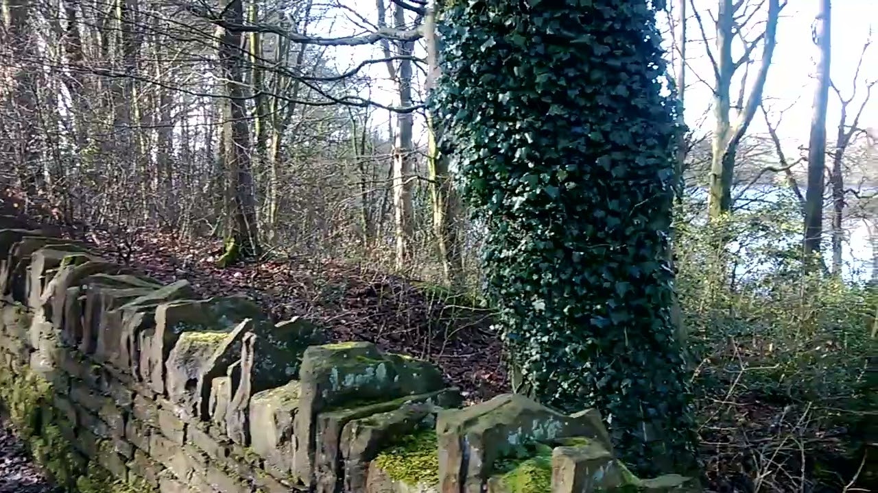 Rivington - March 2026. Thanks for watching.