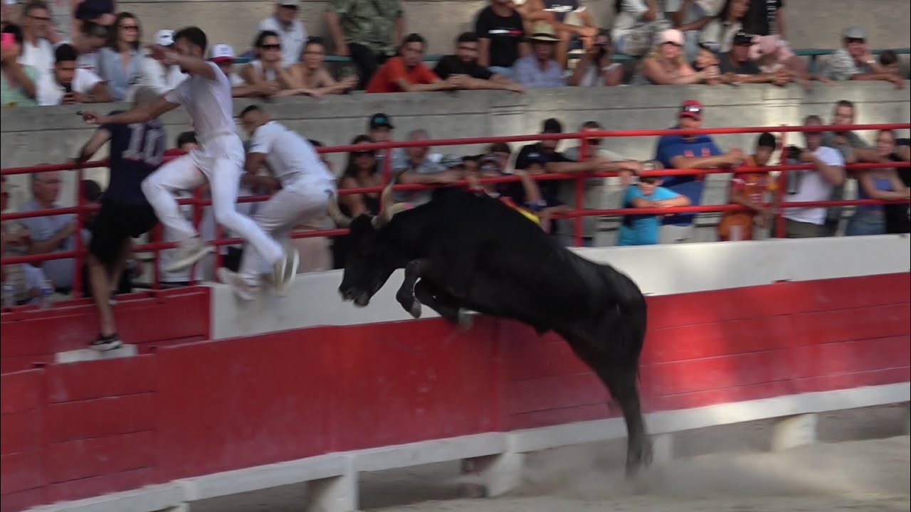 finale de la palme d'or - beaucaire- le 29/07/2024