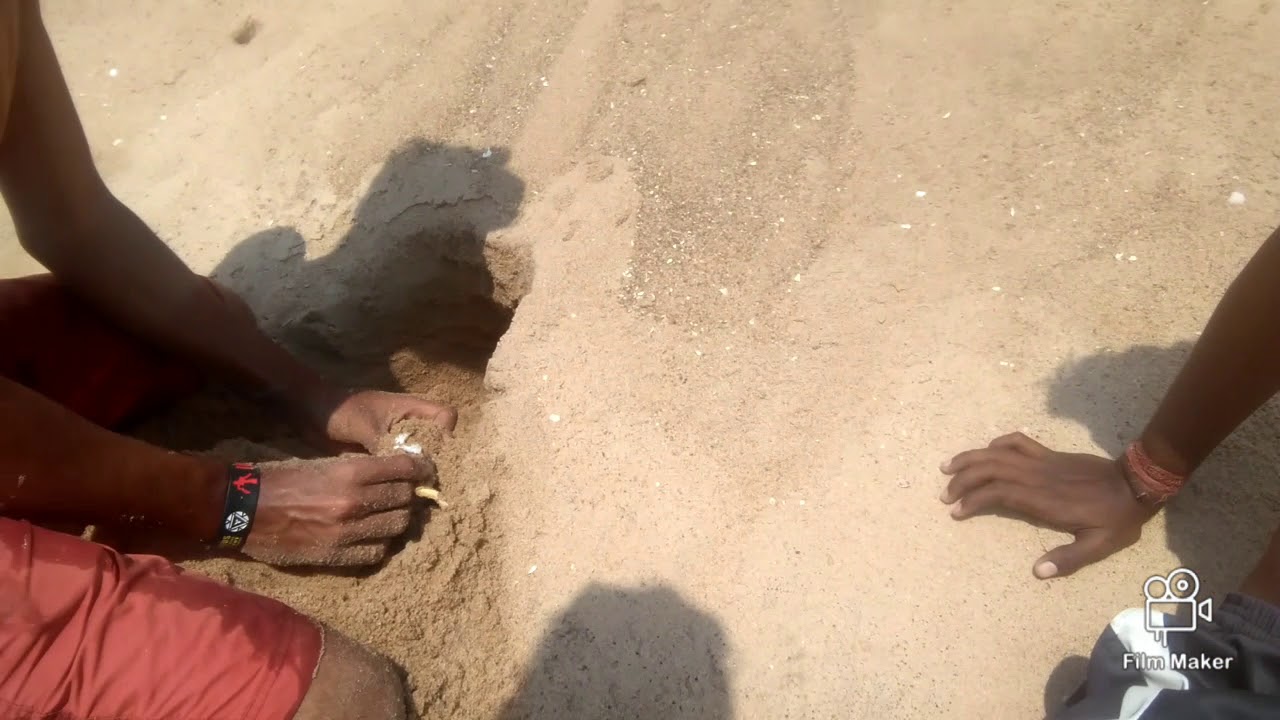 Sea beach ka Kekeda
