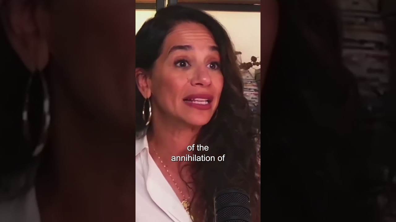 Noura Erakat On International Law