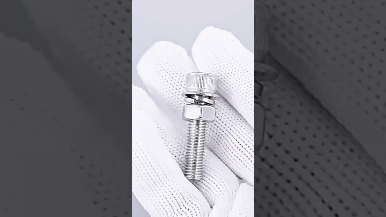 Hex Socket Head Cap Screws with Flat Washer and Lock Washers 304 Stainless Steel 18-8