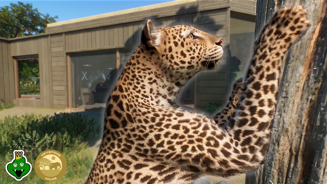 Строительство современного вольера для африканского леопарда с секретом | Planet Zoo