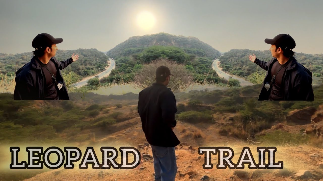 LEOPARD TRAIL || ARAVALI HILLS || HARYANA