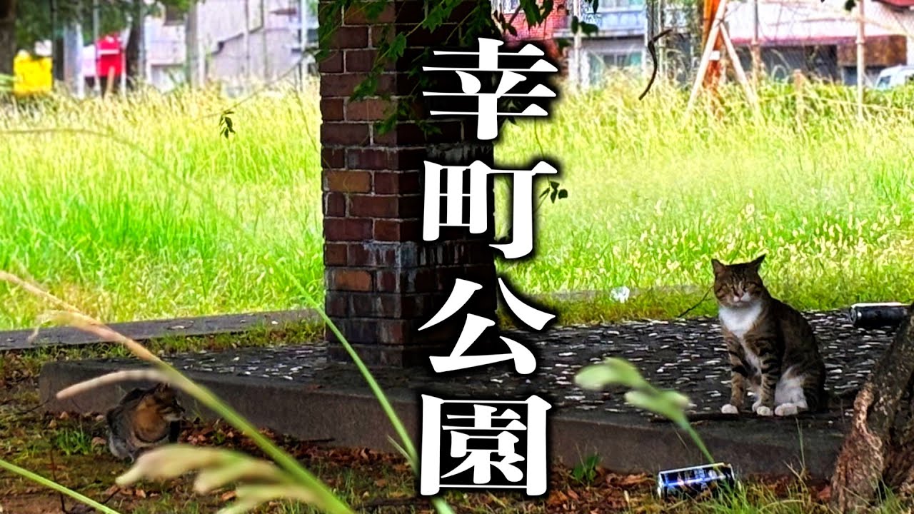 【下関廃墟】驚愕！子供の消えた街⁉︎こんなところに弁天湯？あんなに元気のあった街が今…子供のいない公園が目の前に…下関廃墟「幸町」#下関市#山口#廃墟 #下関廃墟 #幸町#幸町公園＃弁天湯＃関門海峡