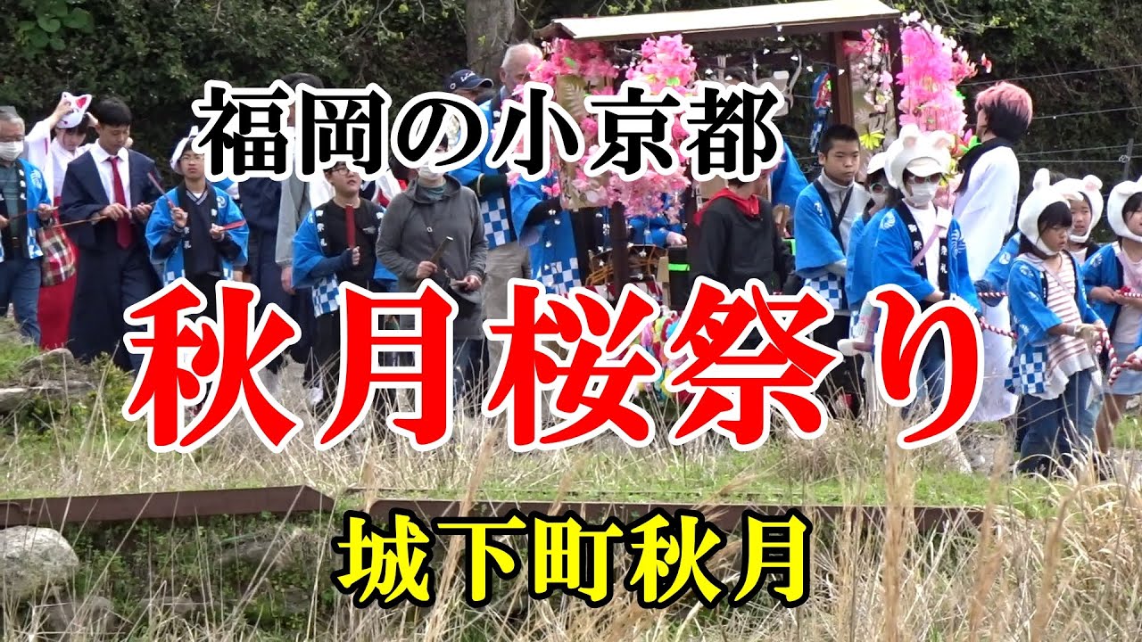 福岡の小京都秋月の桜祭り　2024