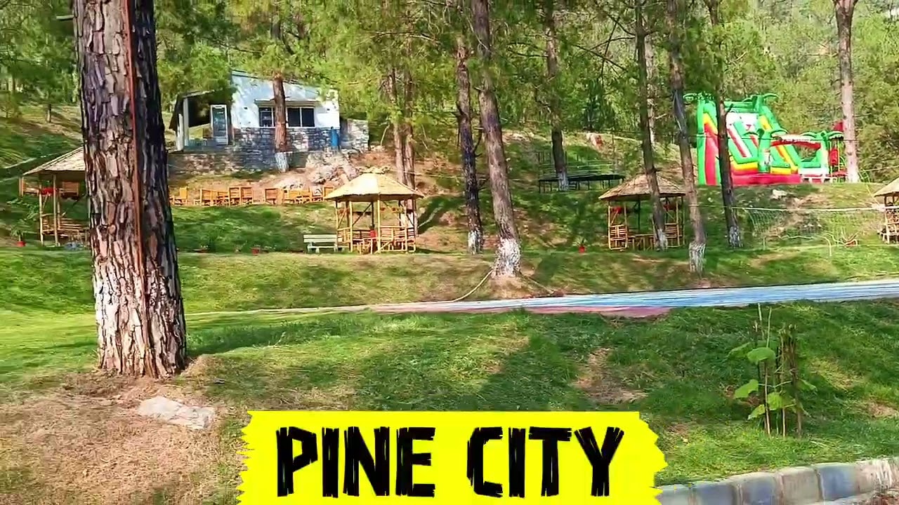 1 Kanal Plot Available for Sale in Pine City🌲Looking for the perfect place to build your dream home.