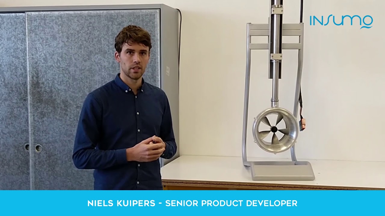 Insumo - Senior Product Developer