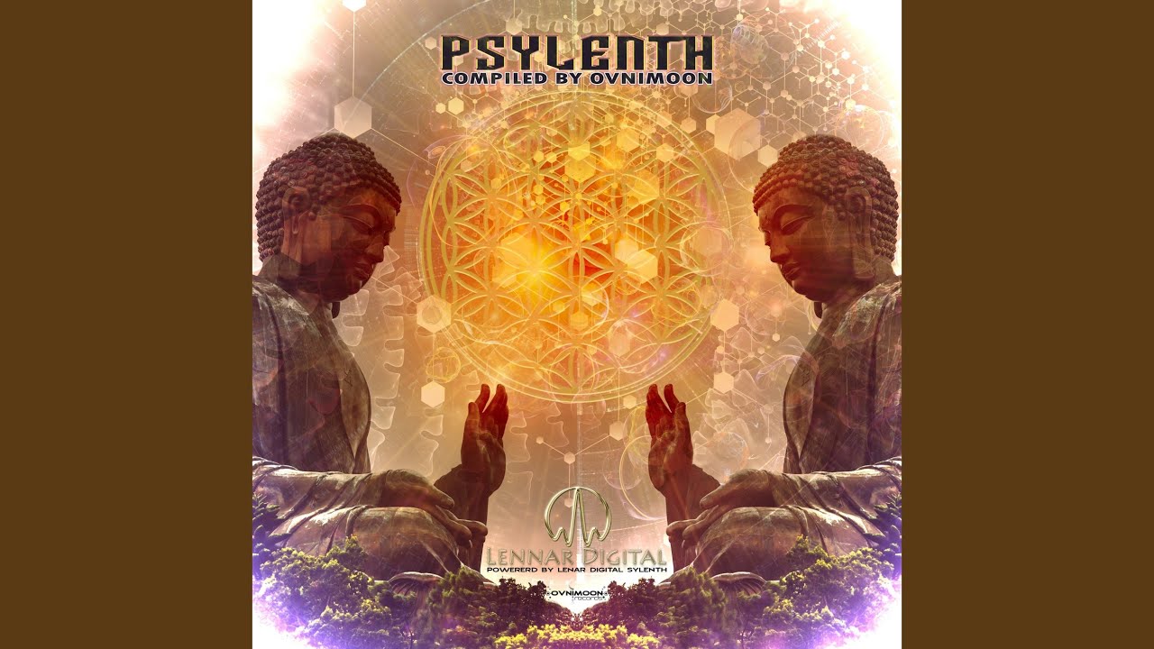 The Synthesis (Jaraluca Version)