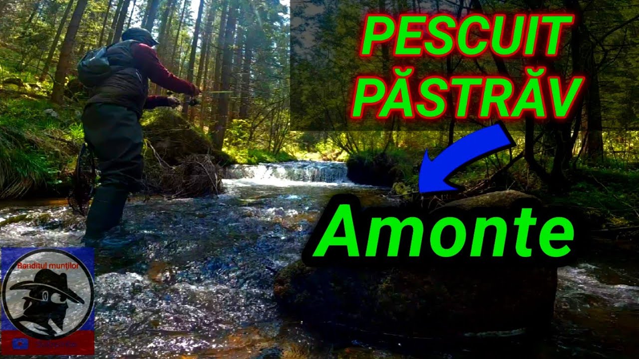 Pescuit păstrăv AMONTE! TROUT FISHING! Munții Apuseni!