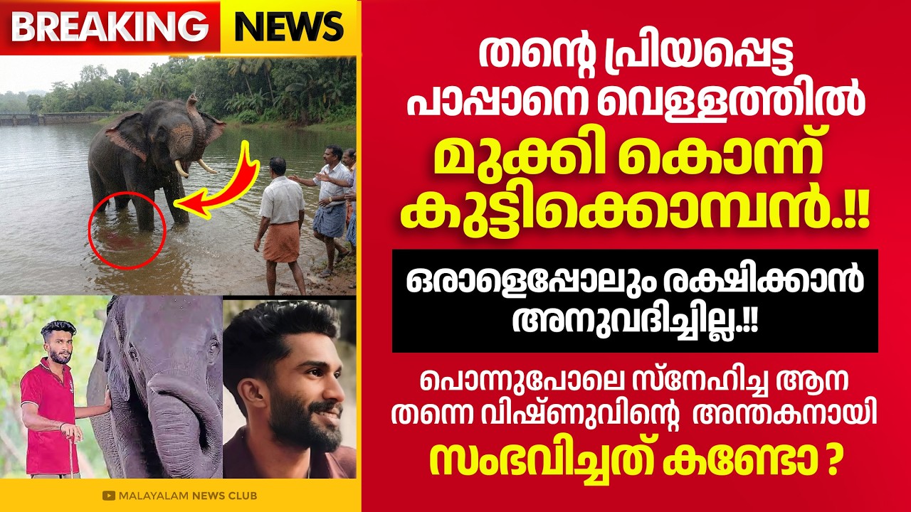 ഏറെ സ്‌നേഹിച്ച ആന തന്നെ വിഷ്ണുവിന്റെ അന്തകനായി !