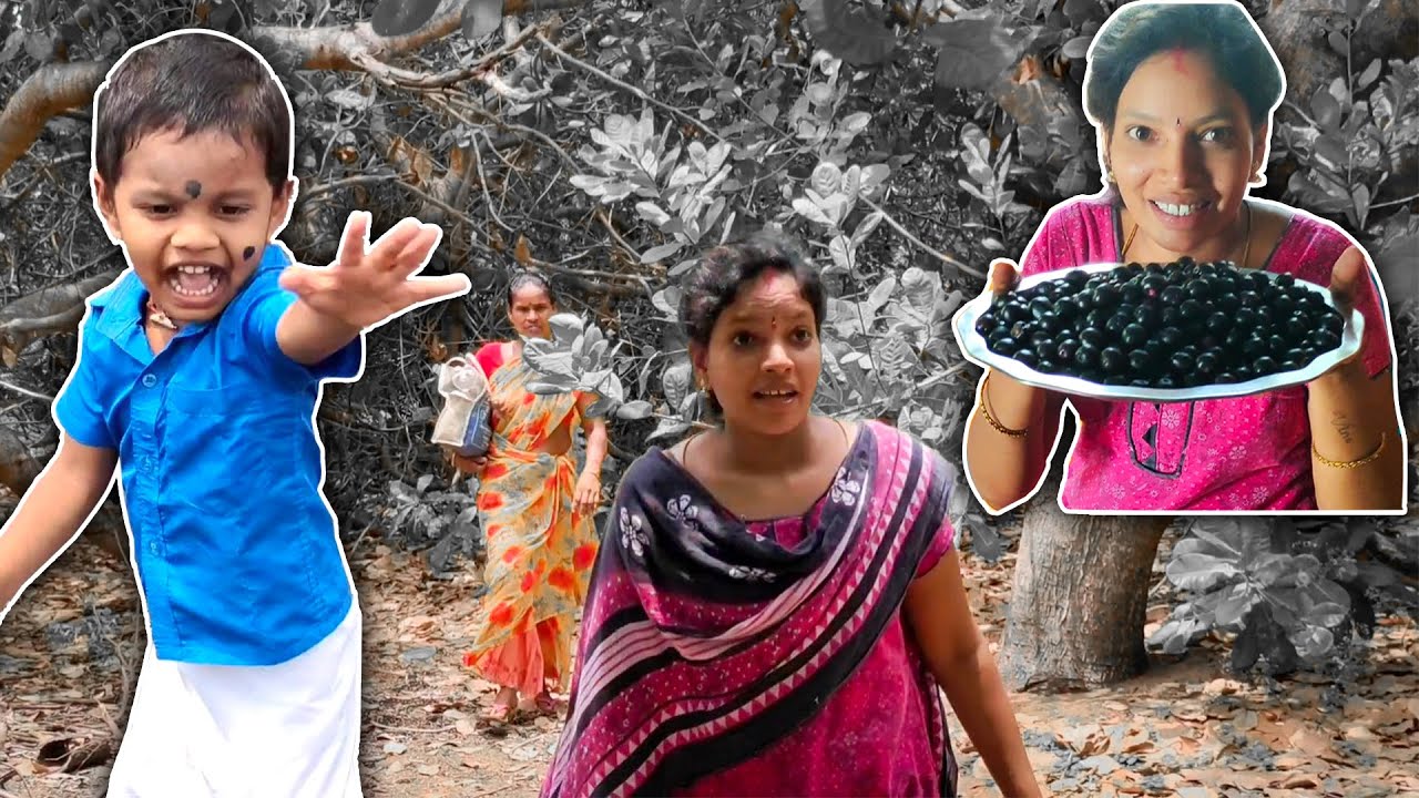 நாவல் பழ வேட்டை Fun Vlog | Life of seethu