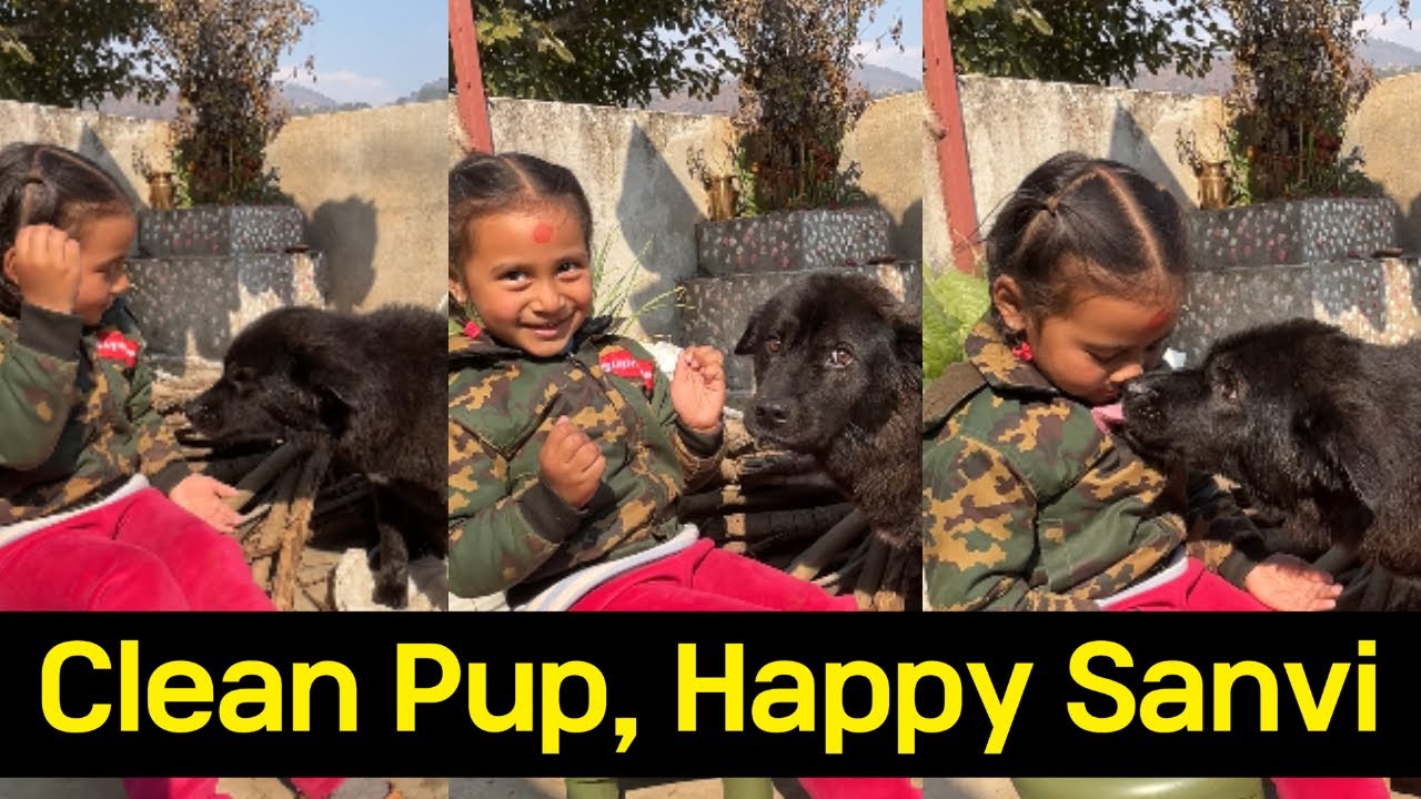 Dog bath day turned into playtime… wait till you see Sanvi 😄🐾#foryouシ #dogplayingvideo #dogbathtime 