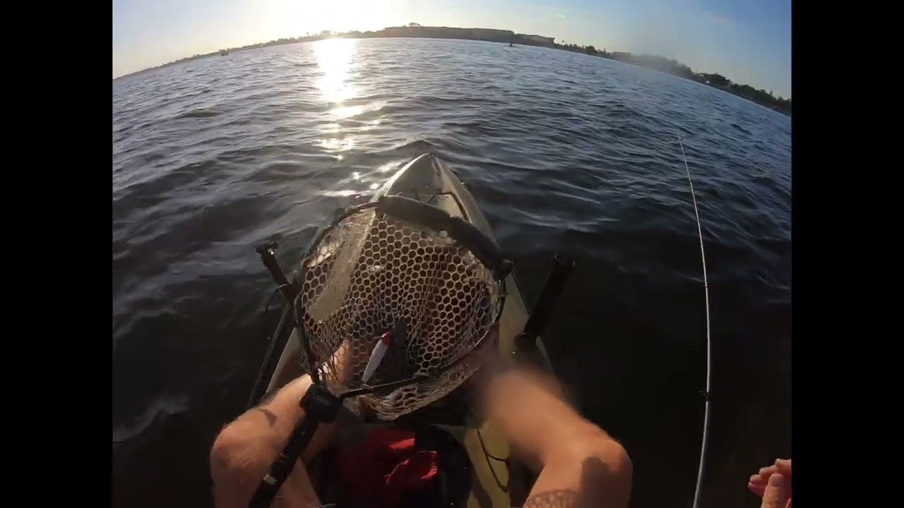 ON THE BOARD FISHING Carl Gray Launch, Panama City, Fl          6 Sep 2025