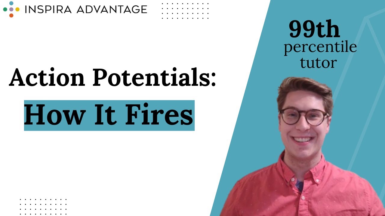 MCAT Bites: Action Potentials II | Inspira Advantage