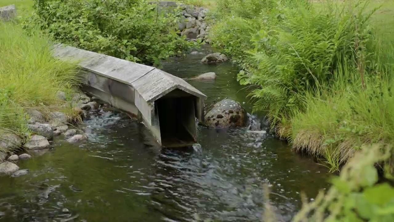 Miljöanpassning av vattenkraftverk - faunapassager