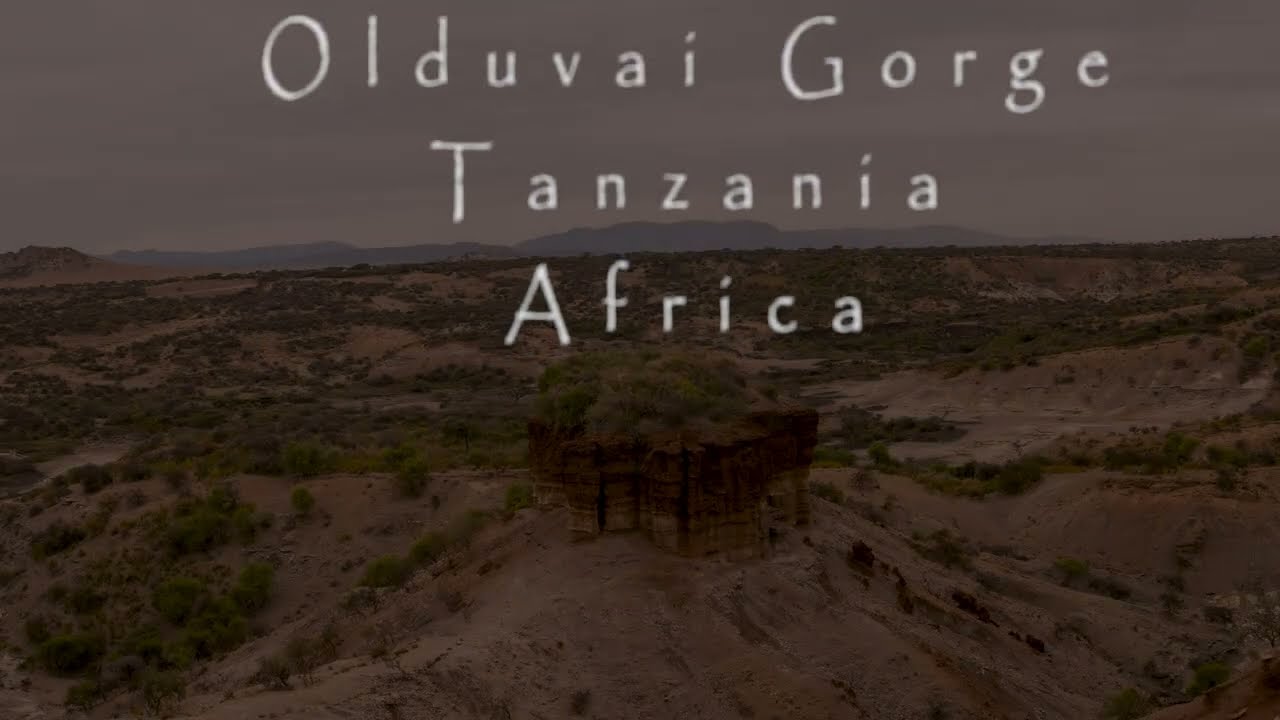 Olduvai Gorge aka 