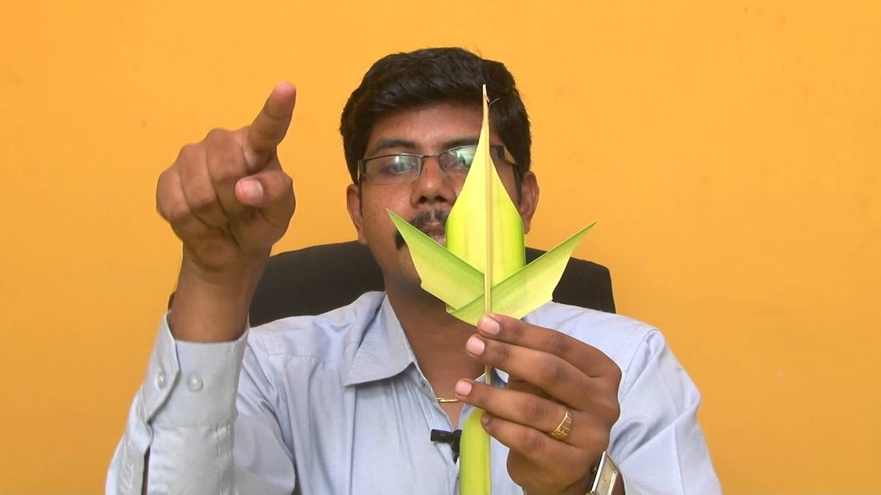Nature toys using coconut leaf