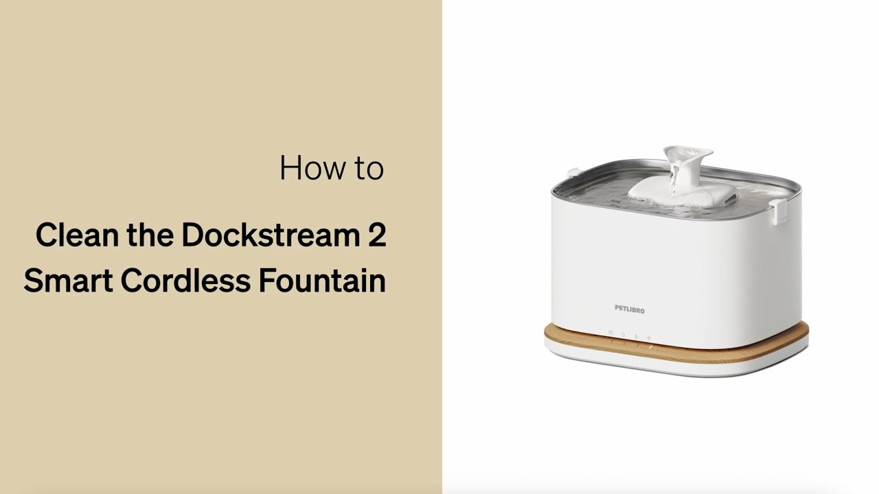 How to Clean the Dockstream 2 Smart Cordless Fountain I Petlibro 