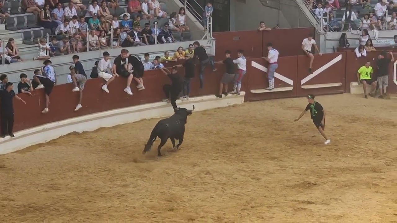 Vaquillas en vitoria gasteiz 2025#toro #attack #bull #ataque #bullrun #fiesta #bullrun #spain 