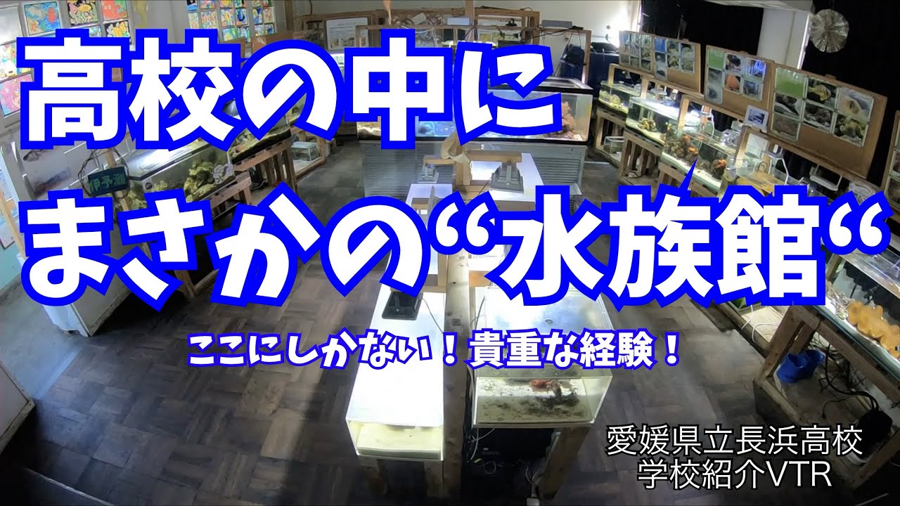 ハイスクールは水族館　～2分でわかる愛媛県立長浜高校～