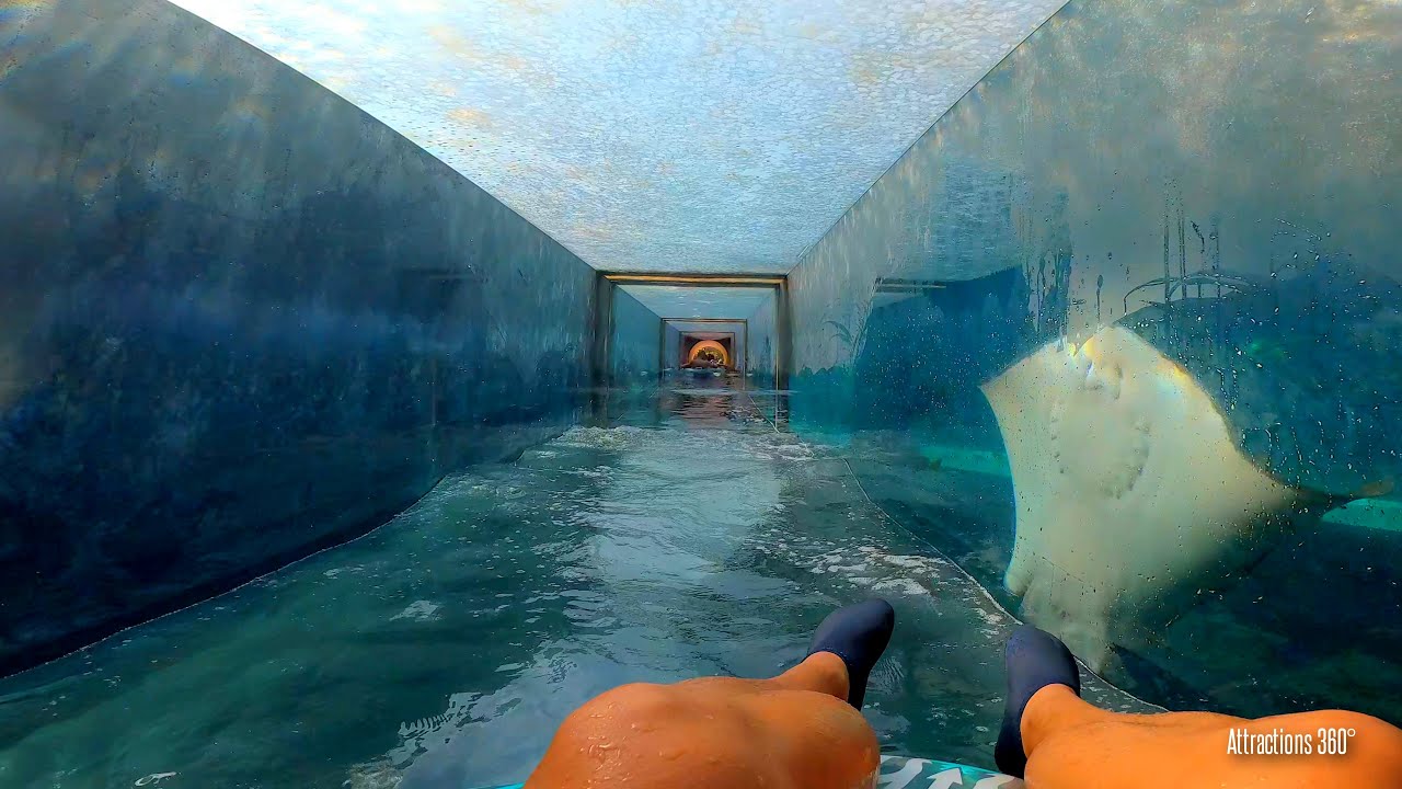 Shark & Leap of Faith Water Slides | Claustrophobic Water Slide! AquaVenture Water Park