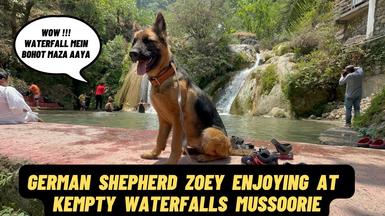 Jeh & Zoey Gaye Mussoorie Ki Kempty Falls: Kempty Falls Mein Gayi Zoey Waterfall Ke Paani Mein