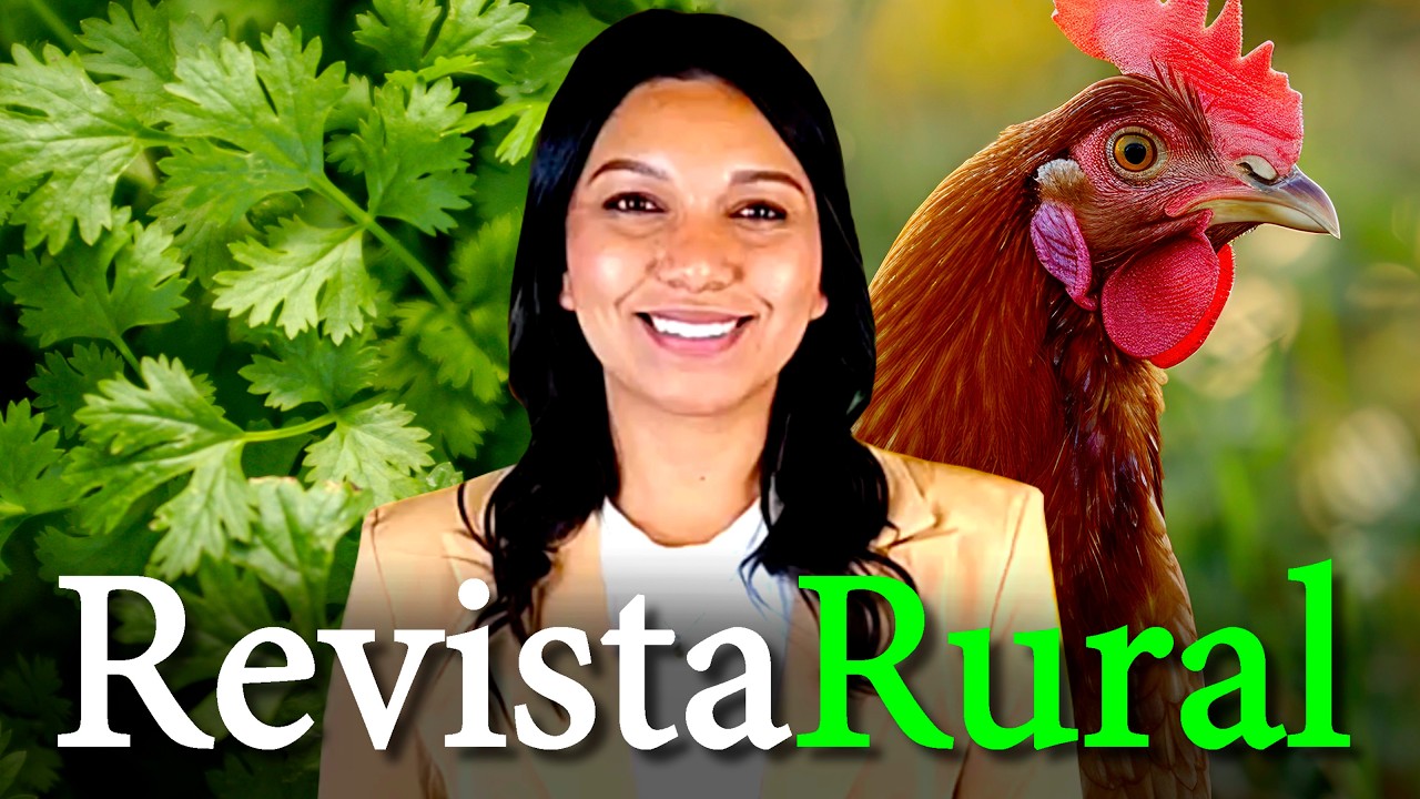 PROGRAMA REVISTA RURAL - 05/04/2026