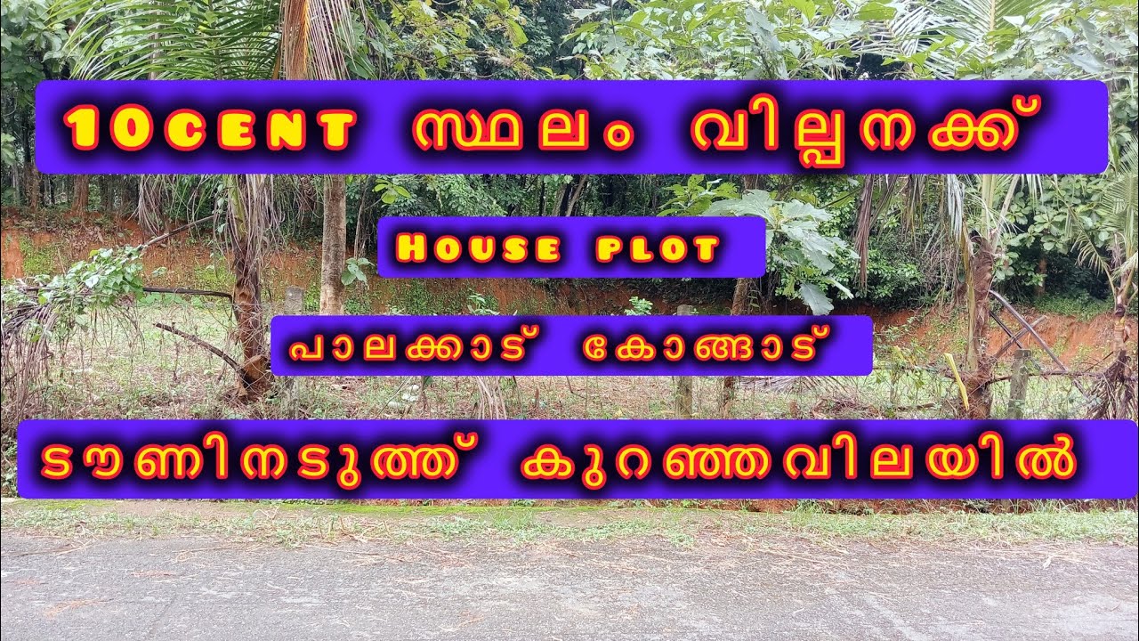 10cent സ്ഥലം.. കുറഞ്ഞ വിലക്ക്..ടൗണിനരുകിൽ SK48 #palakkad #mundur#kongad