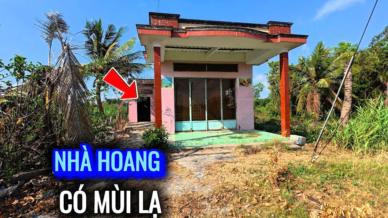B&iacute; ẩn m&ugrave;i h&ocirc;i trong căn nh&agrave; bỏ hoang