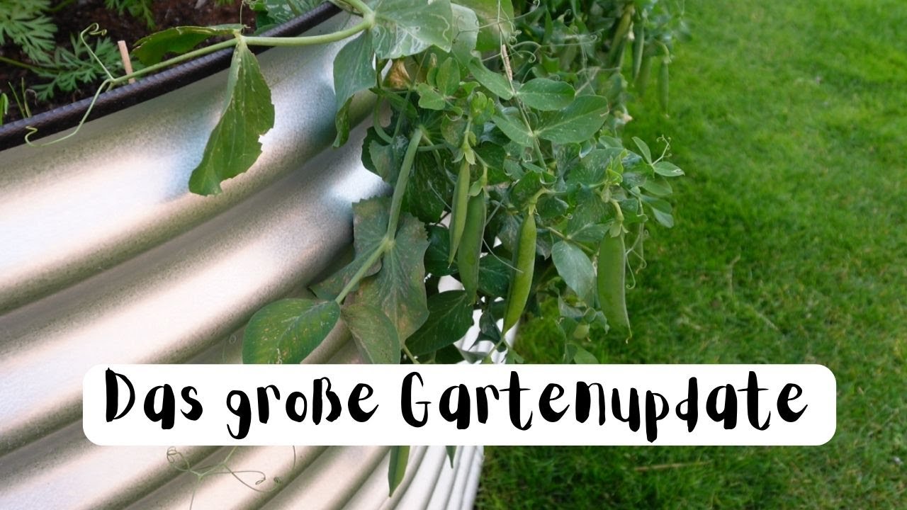 Das große #gartenupdate 👩‍🌾🎉💚