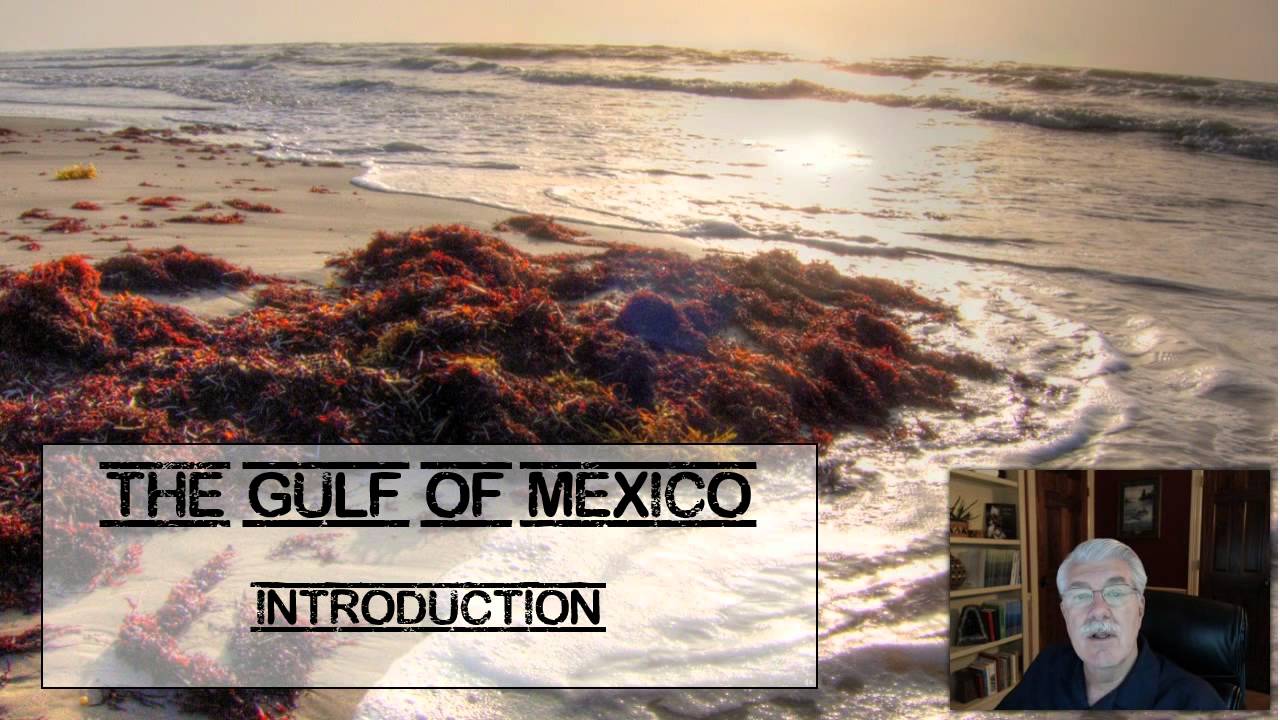 Oceans: Gulf of Mexico Introduction - L12.1