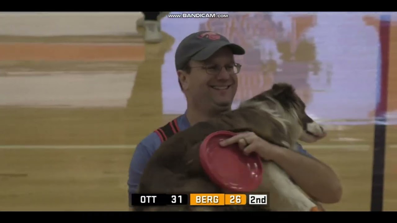 Wes Ryan - Layla - Performance Dogs of Ohio - Heidelberg University Halftime Show - 2/1/25