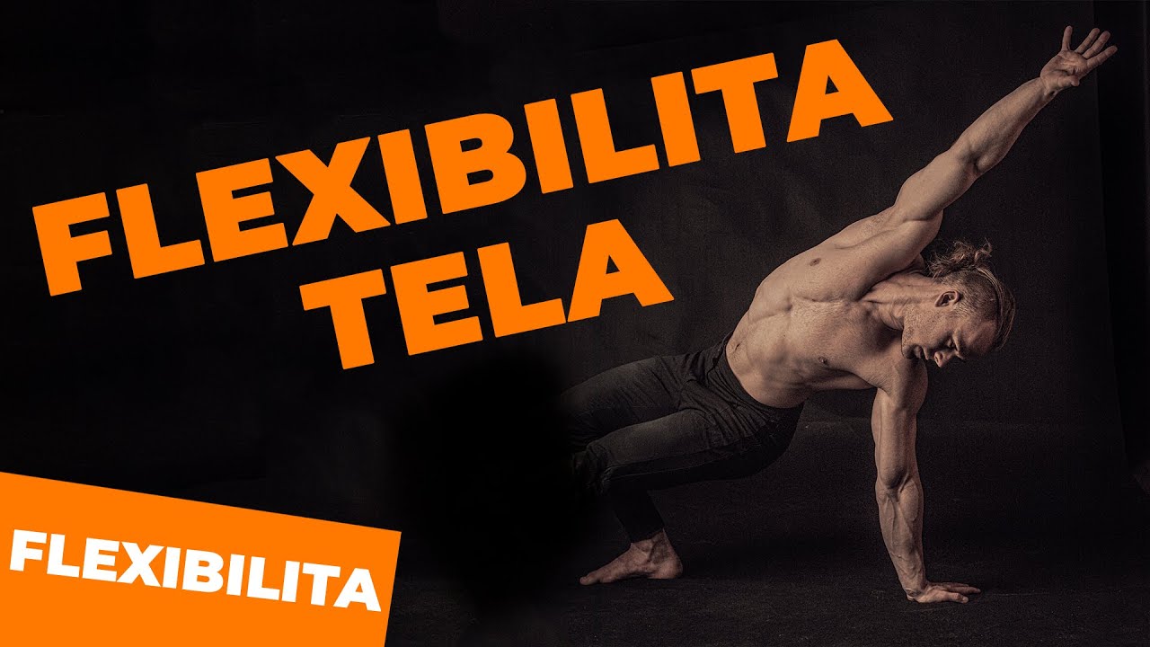 Rád/a strečuješ ? Tak si určite pozri toto video !